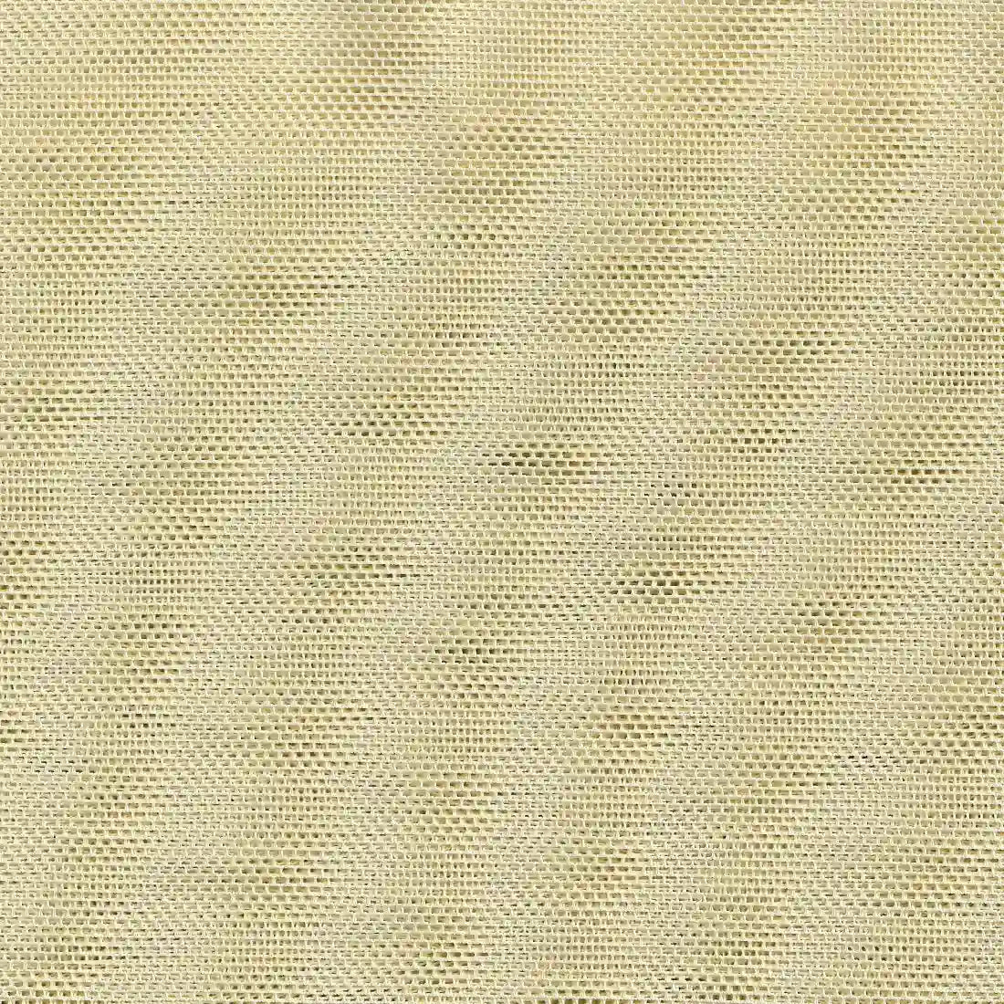 38505-v06