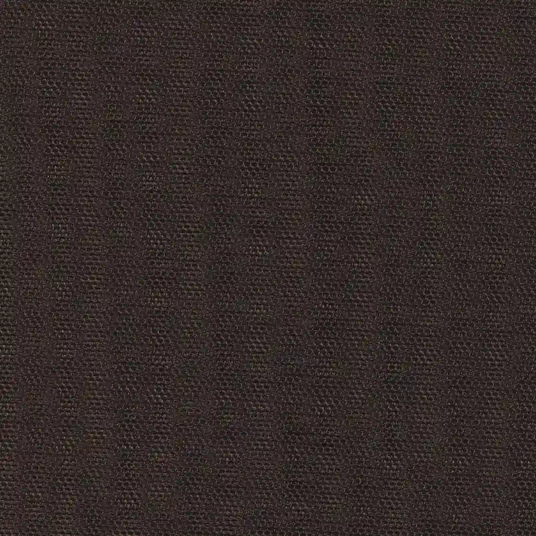 38505-v38