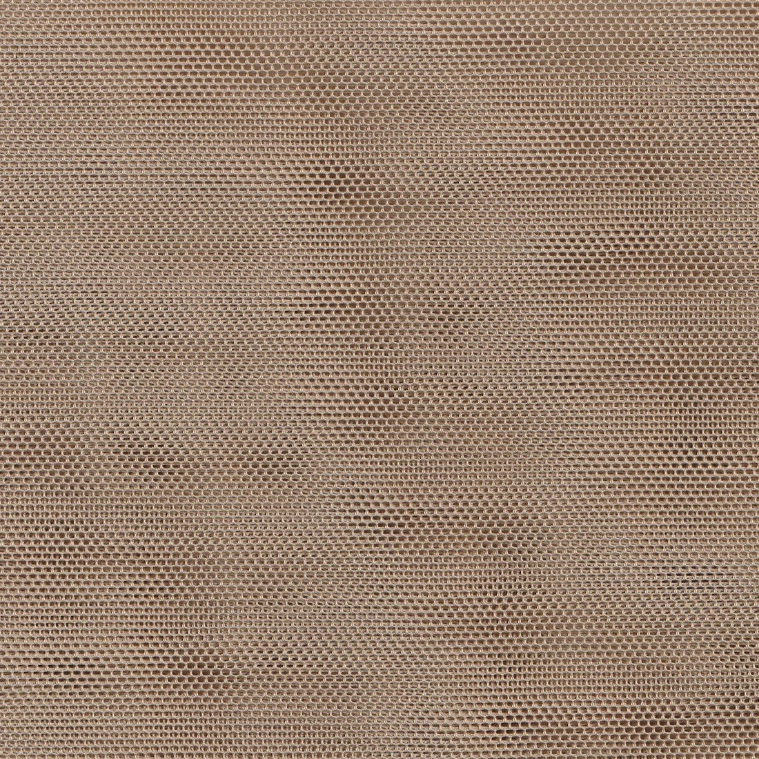 38505-v42