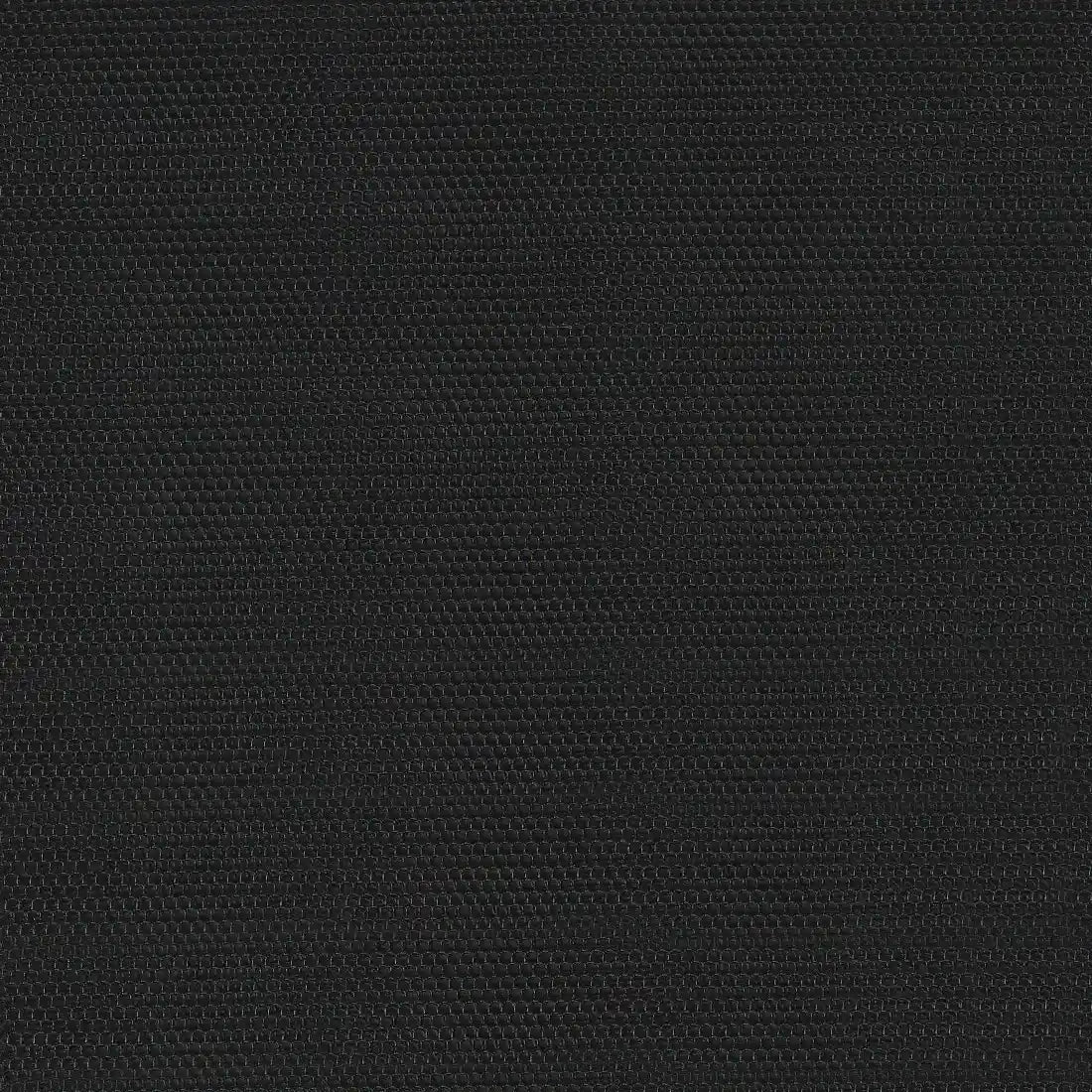 38505-v64