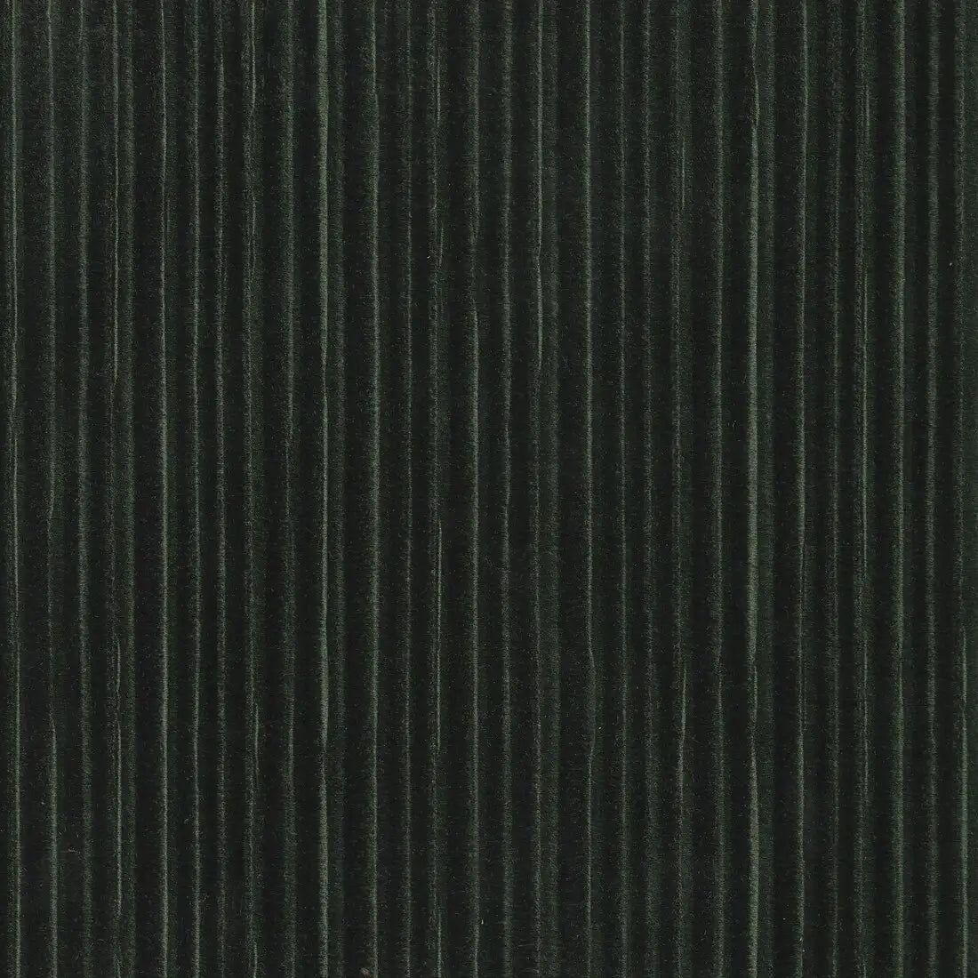 beatrice-11
