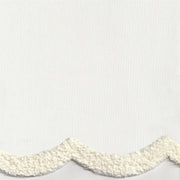 begonya-001