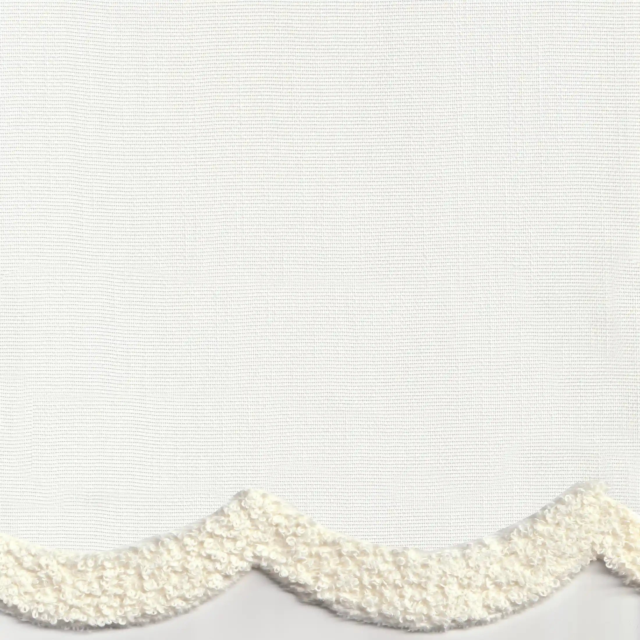 begonya-001