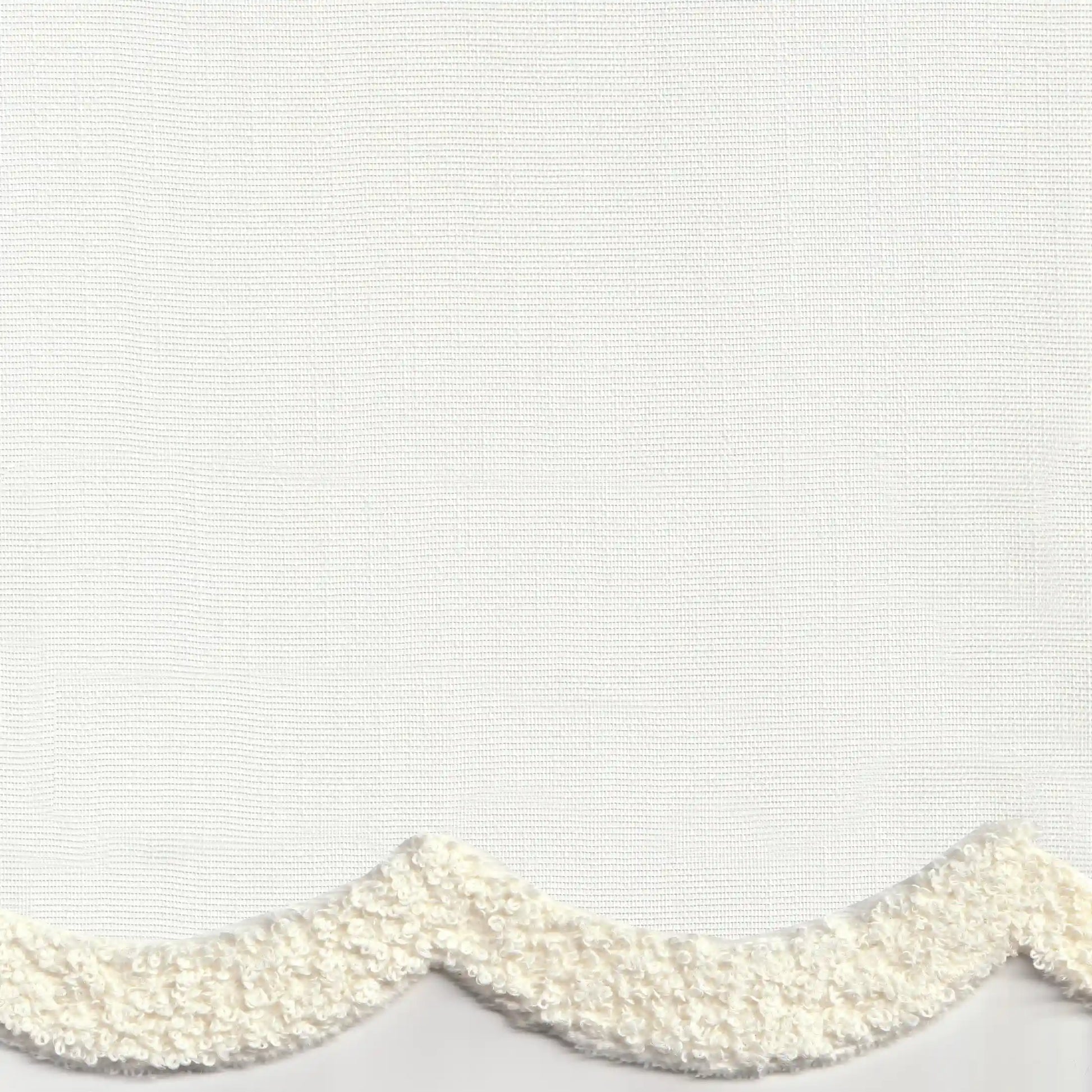 begonya-004