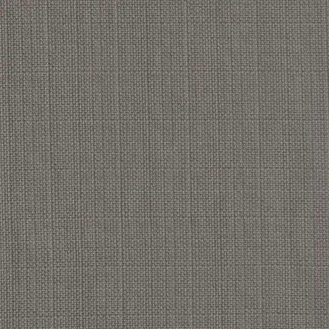 decorita-19