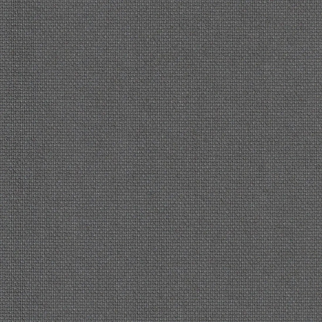 maslina-01