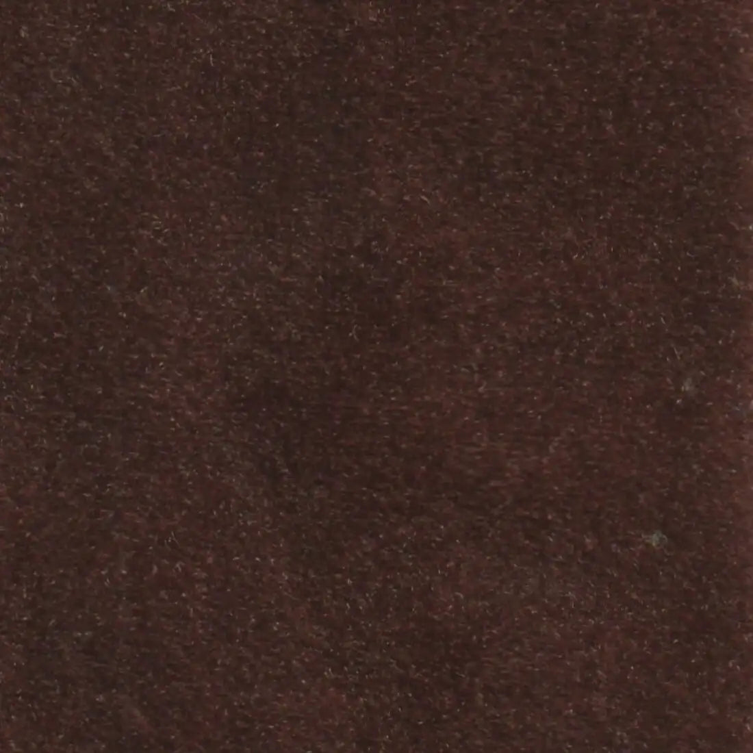 tara-08